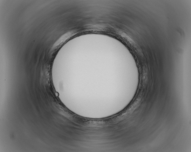 X0000112751354200910011145