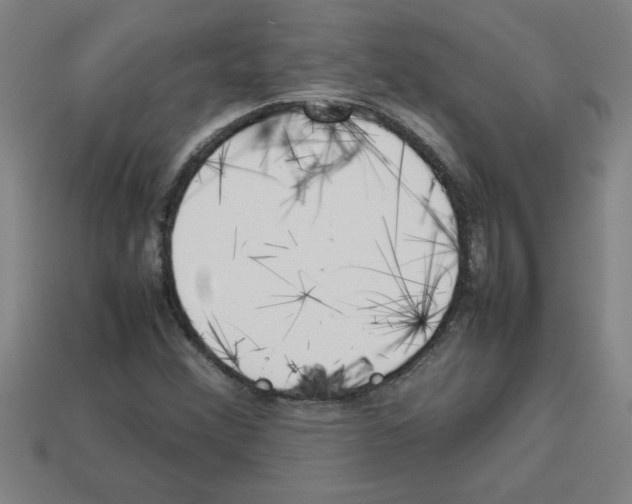 X0000112751356200910011145