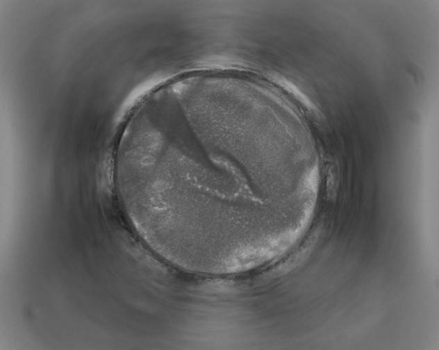 X0000112751358200910011145