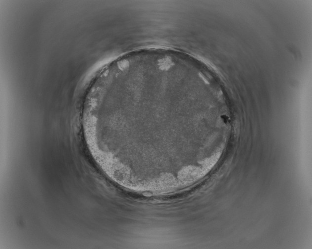 X0000112751359200910011145