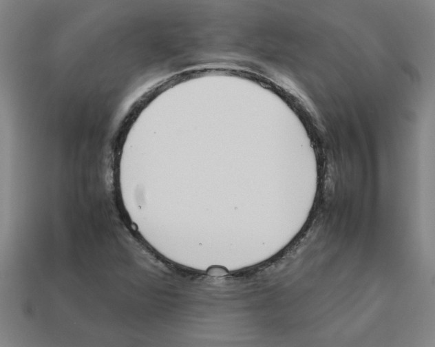 X0000112751360200910011145