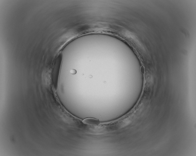 X0000112751361200910011145