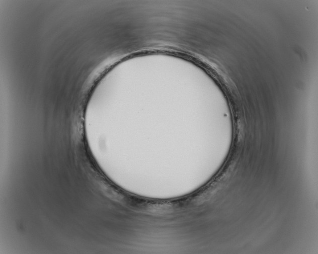 X0000112751363200910011145