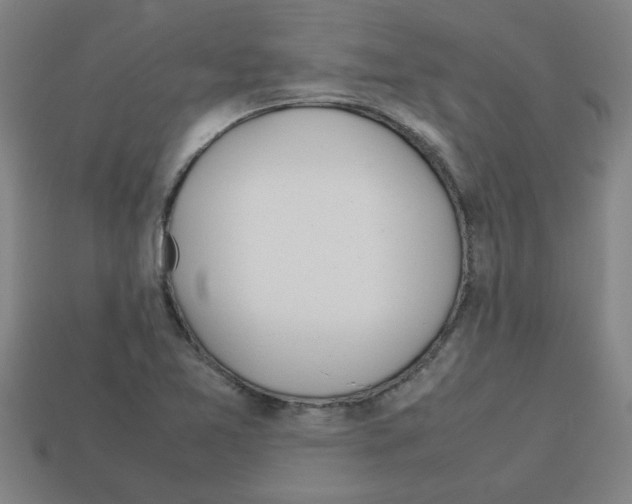 X0000112751365200910011145