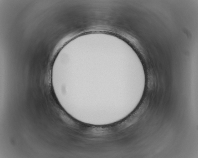 X0000112751366200910011145