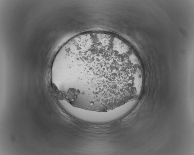 X0000112751367200910011145