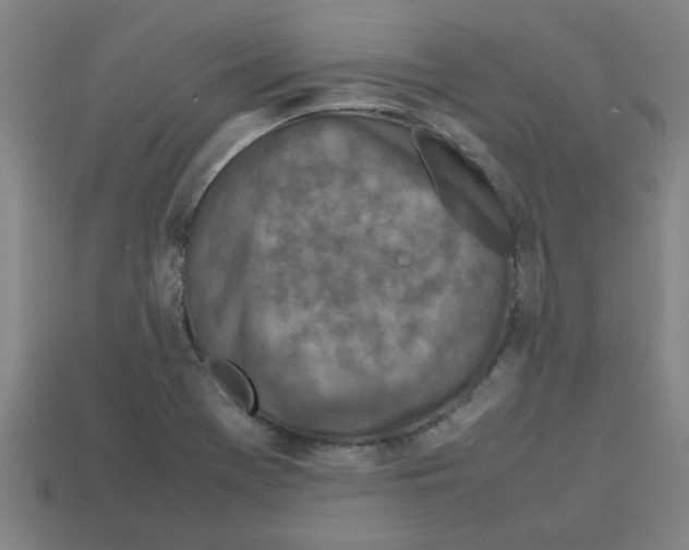 X0000112751369200910011145