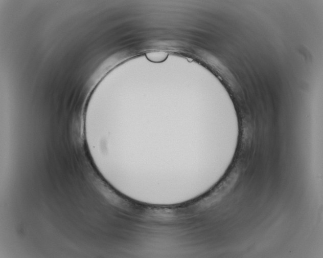 X0000112751370200910011145