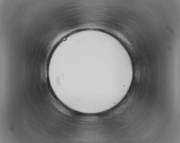 X0000112751372200910011145