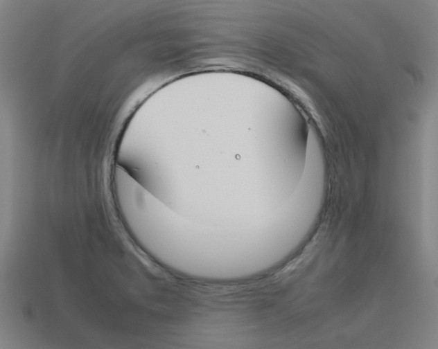 X0000112751373200910011145