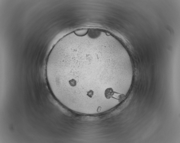 X0000112751374200910011145