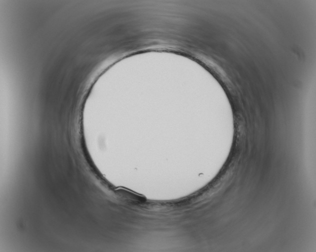 X0000112751375200910011145