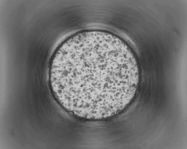 X0000112751376200910011145