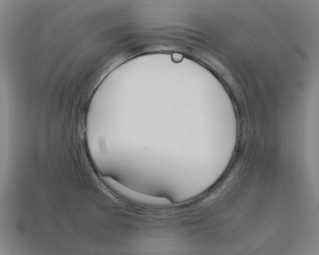 X0000112751377200910011145