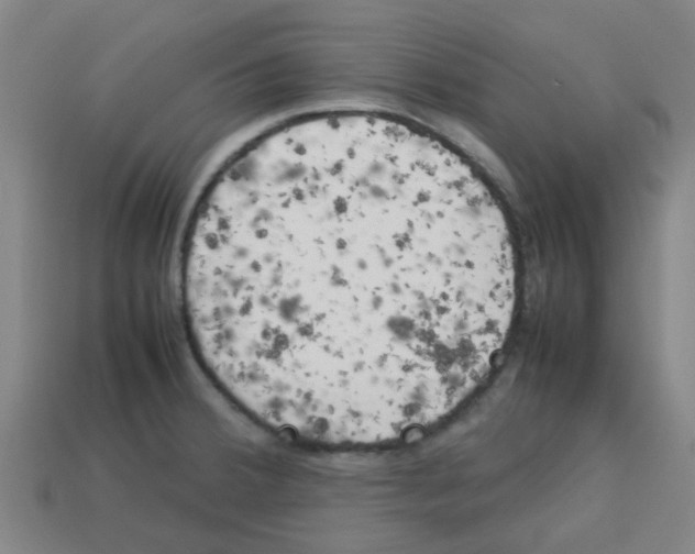 X0000112751380200910011145