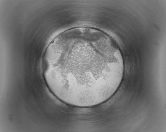 X0000112751382200910011145