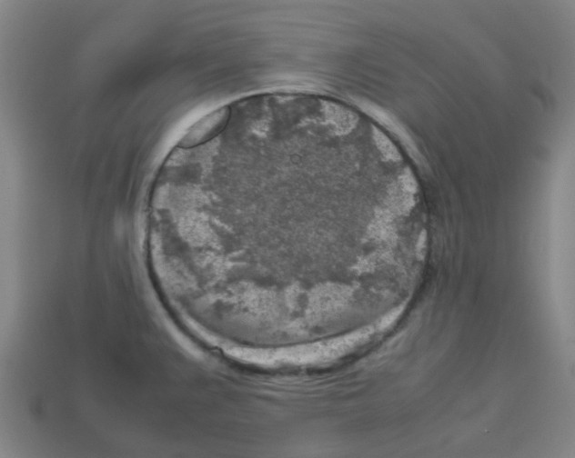 X0000112751383200910011145