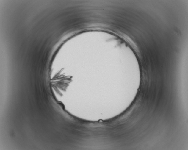 X0000112751384200910011145