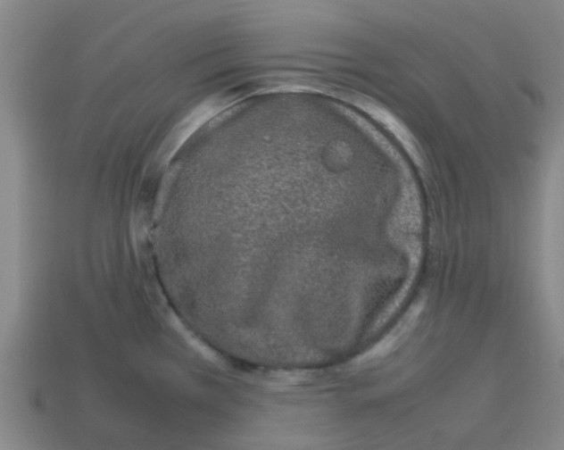 X0000112751385200910011145