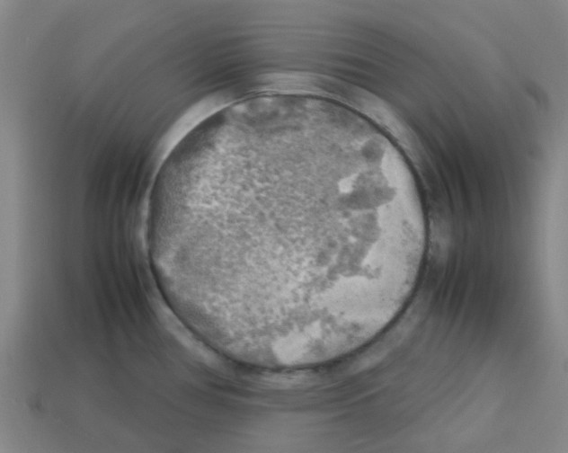 X0000112751386200910011145