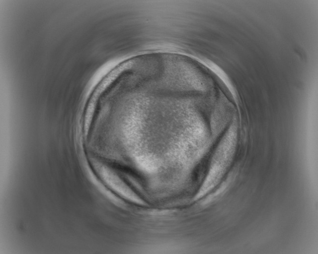 X0000112751389200910011145