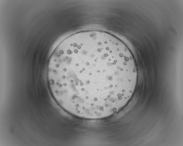 X0000112751390200910011145