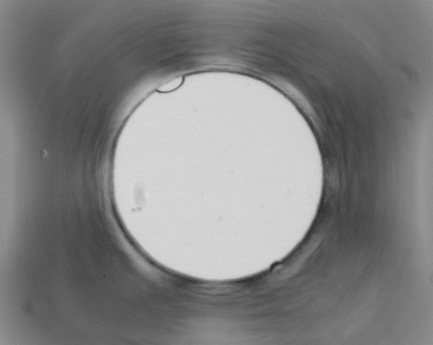 X0000112751391200910011145