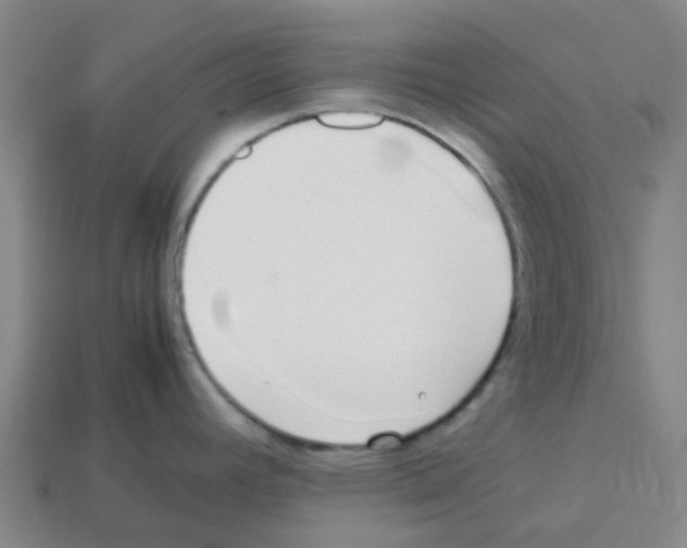 X0000112751392200910011145