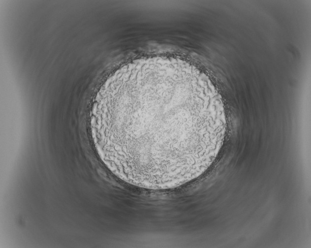 X0000112751393200910011144