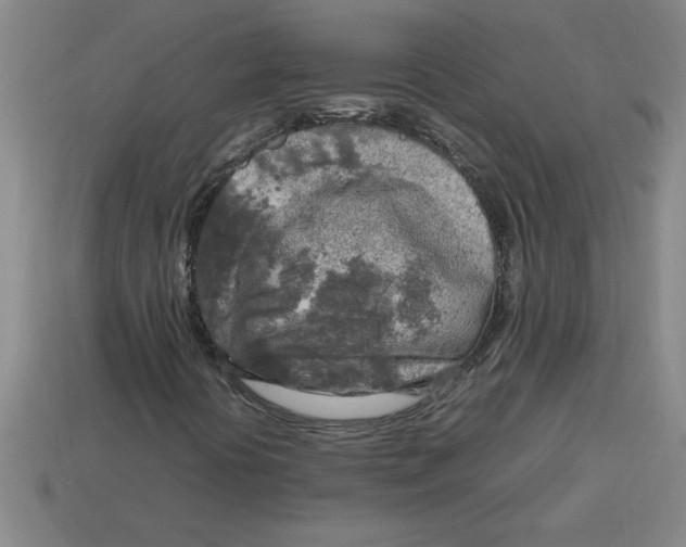 X0000112751394200910011144