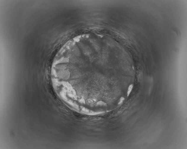 X0000112751397200910011144