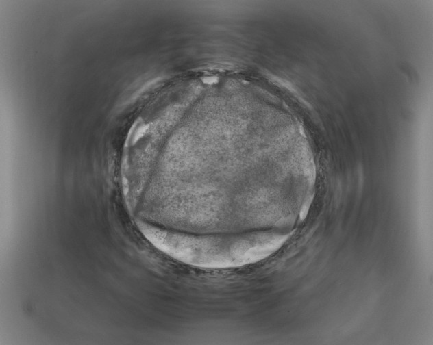 X0000112751399200910011144