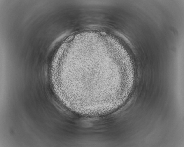 X0000112751403200910011144