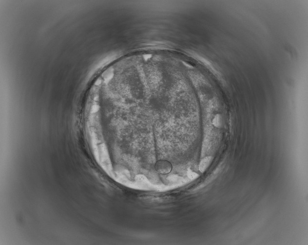 X0000112751405200910011144