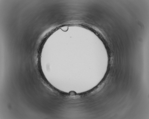 X0000112751406200910011144