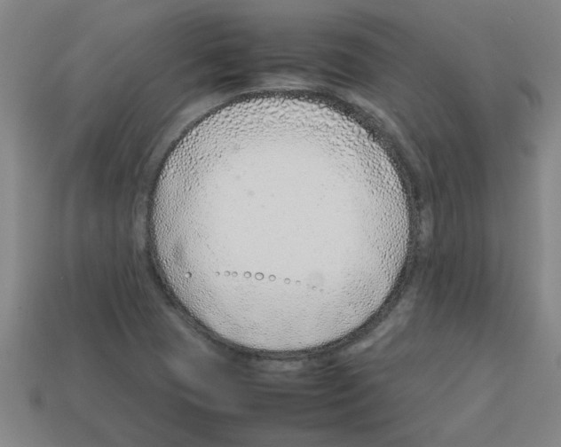 X0000112751409200910011144