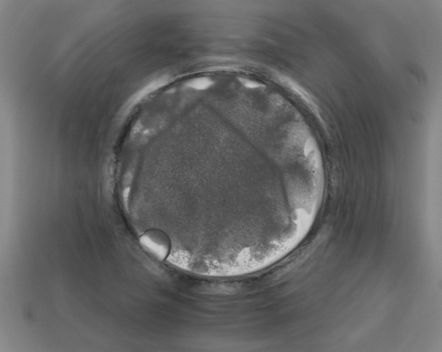 X0000112751411200910011144