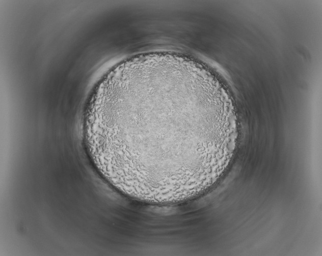 X0000112751415200910011144