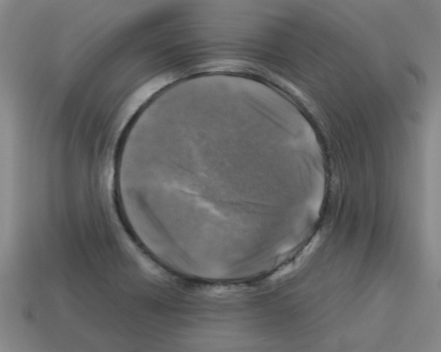 X0000112751418200910011144