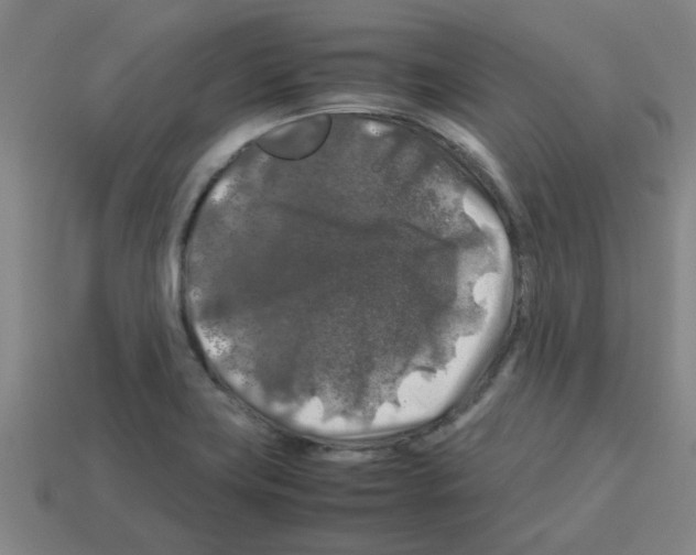 X0000112751419200910011144