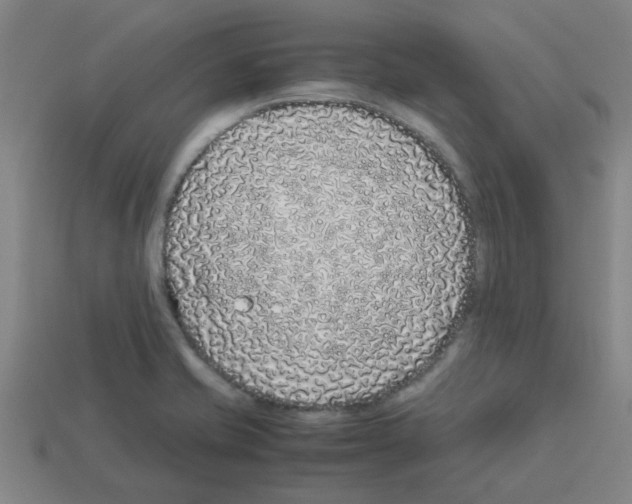 X0000112751421200910011144