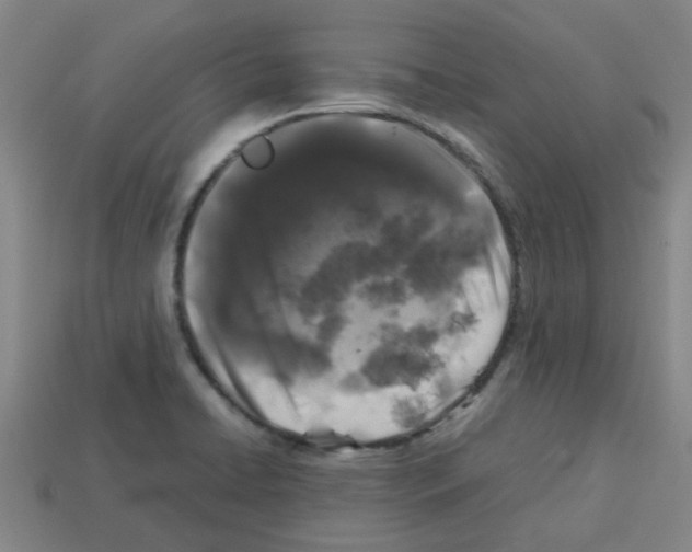 X0000112751422200910011144