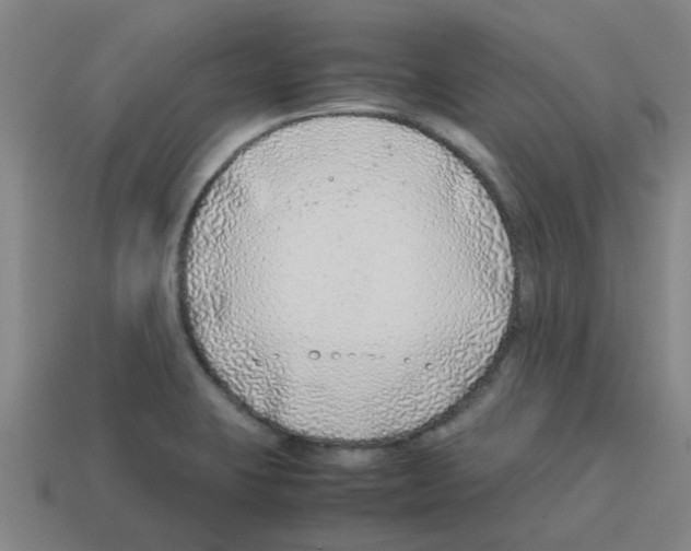 X0000112751423200910011144