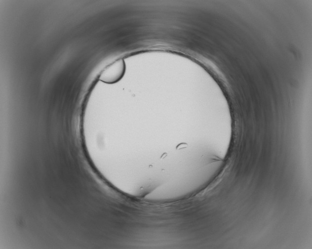 X0000112751424200910011144