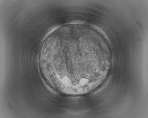 X0000112751425200910011144