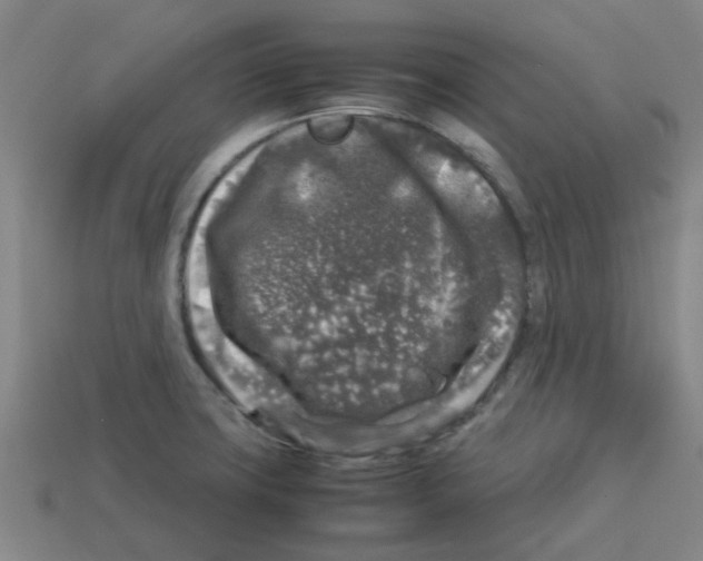 X0000112751427200910011145