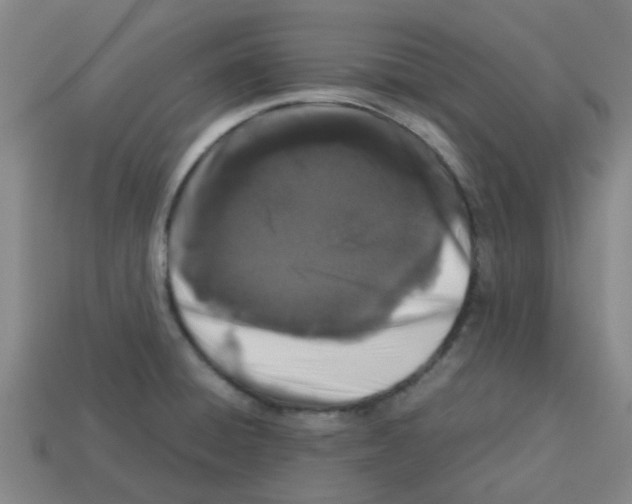 X0000112751428200910011145