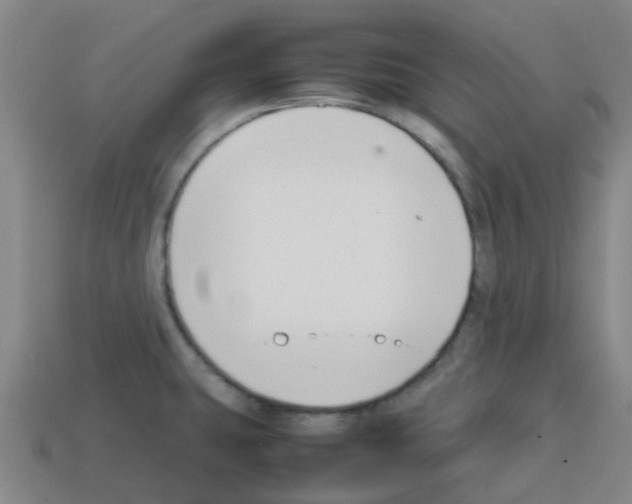 X0000112751431200910011145