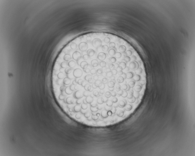 X0000112751432200910011145