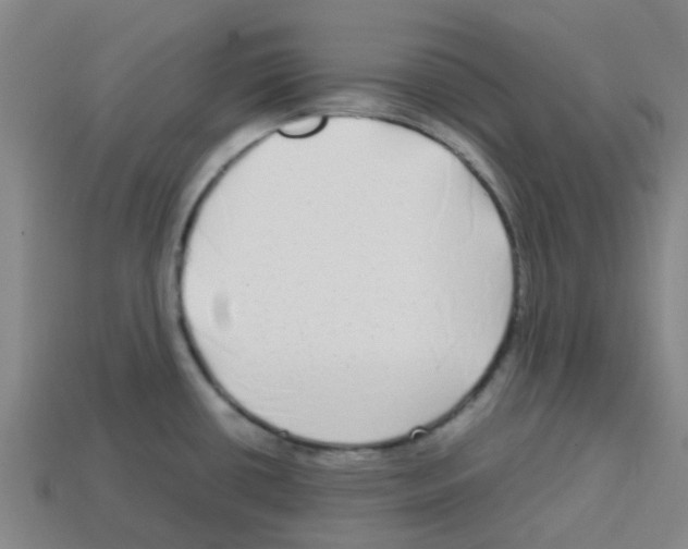 X0000112751434200910011145